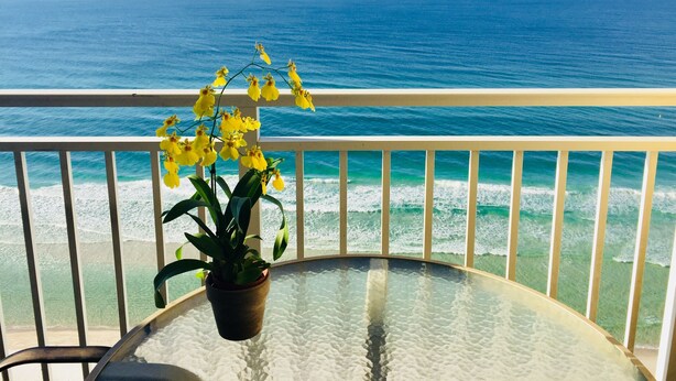 Un balcón con una mesa de vidrio, una planta en maceta y vista al océano.