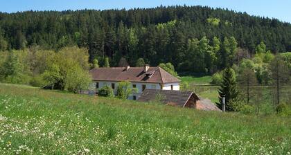 Old bakery apartment at Kamenný potok