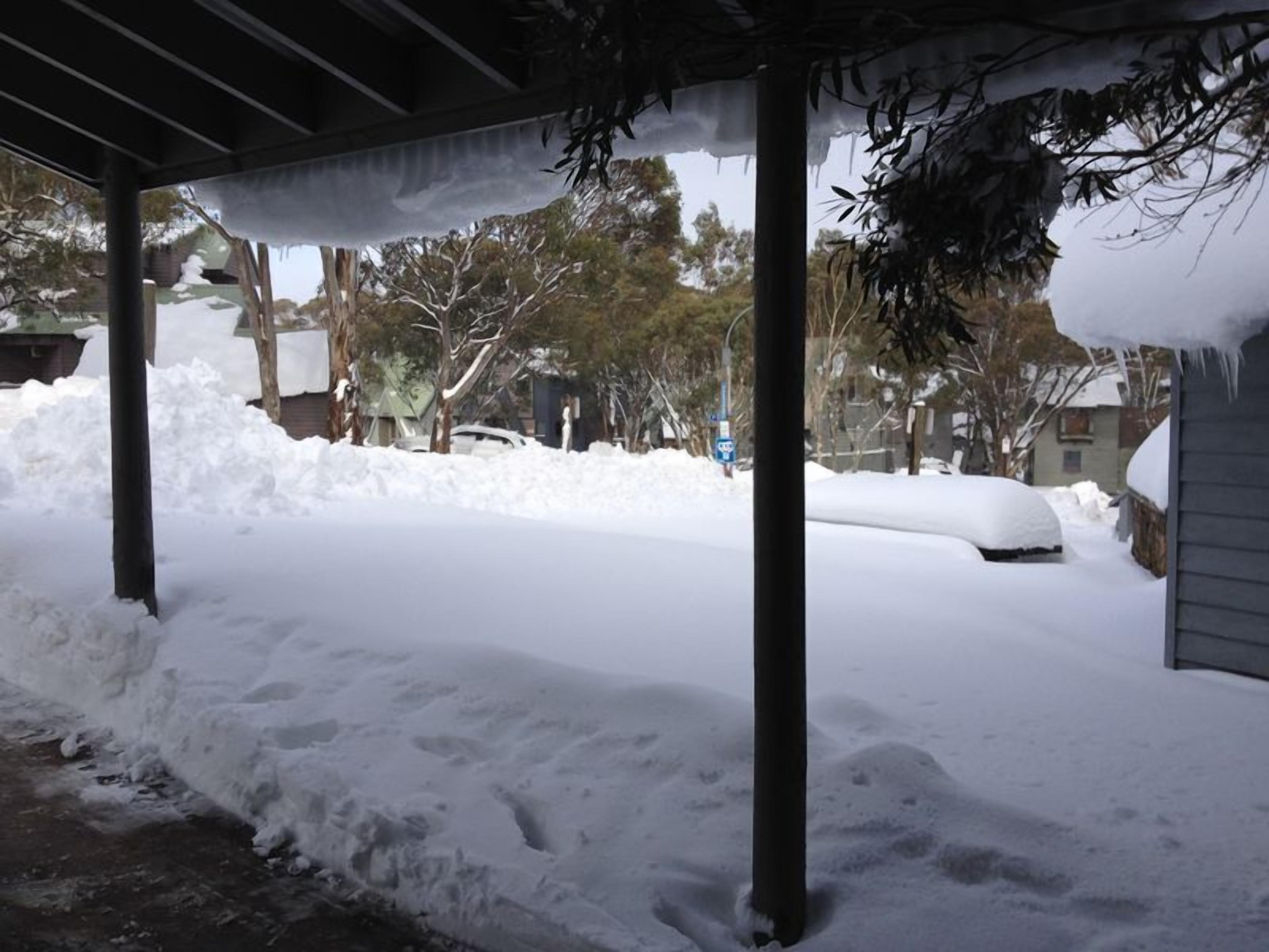 Snokomo at Dinner Plain — image 15