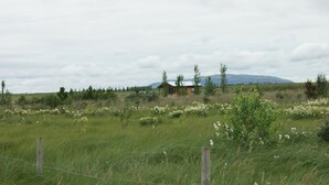 Paisaje rural con una cabaña de madera rodeada de flores silvestres y una montaña al fondo.