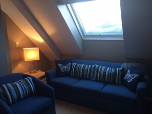 Smart TV, chimenea, reproductor de DVD y libros 