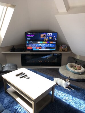 Smart-TV, Kamin, DVD-Player, Bücher
