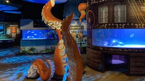A large octopus sculpture in an aquarium setting with wooden ship-themed decor.