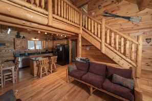 Smart TV, fireplace, DVD player, books