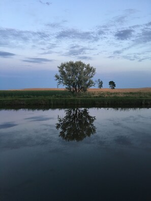 Stand alone in nature, surrounded by a serene landscape of a solitary tree and a tranquil pond.