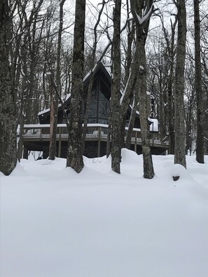 Exterior - Spectacular Ski Chalet, 3 BR, 2.5 Bath, Great Location. (Wintergreen Resort)