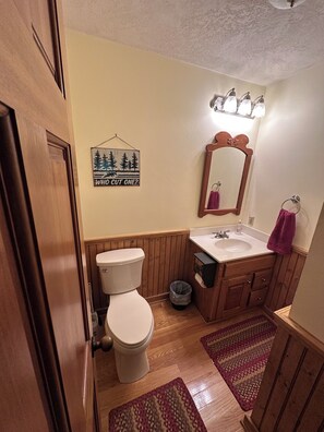 Hair dryer, towels, toilet paper - Spectacular Ski Chalet, 3 BR, 2.5 Bath, Great Location. (Wintergreen Resort)