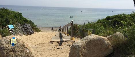 Plage à proximité, chaises longues, serviettes de plage