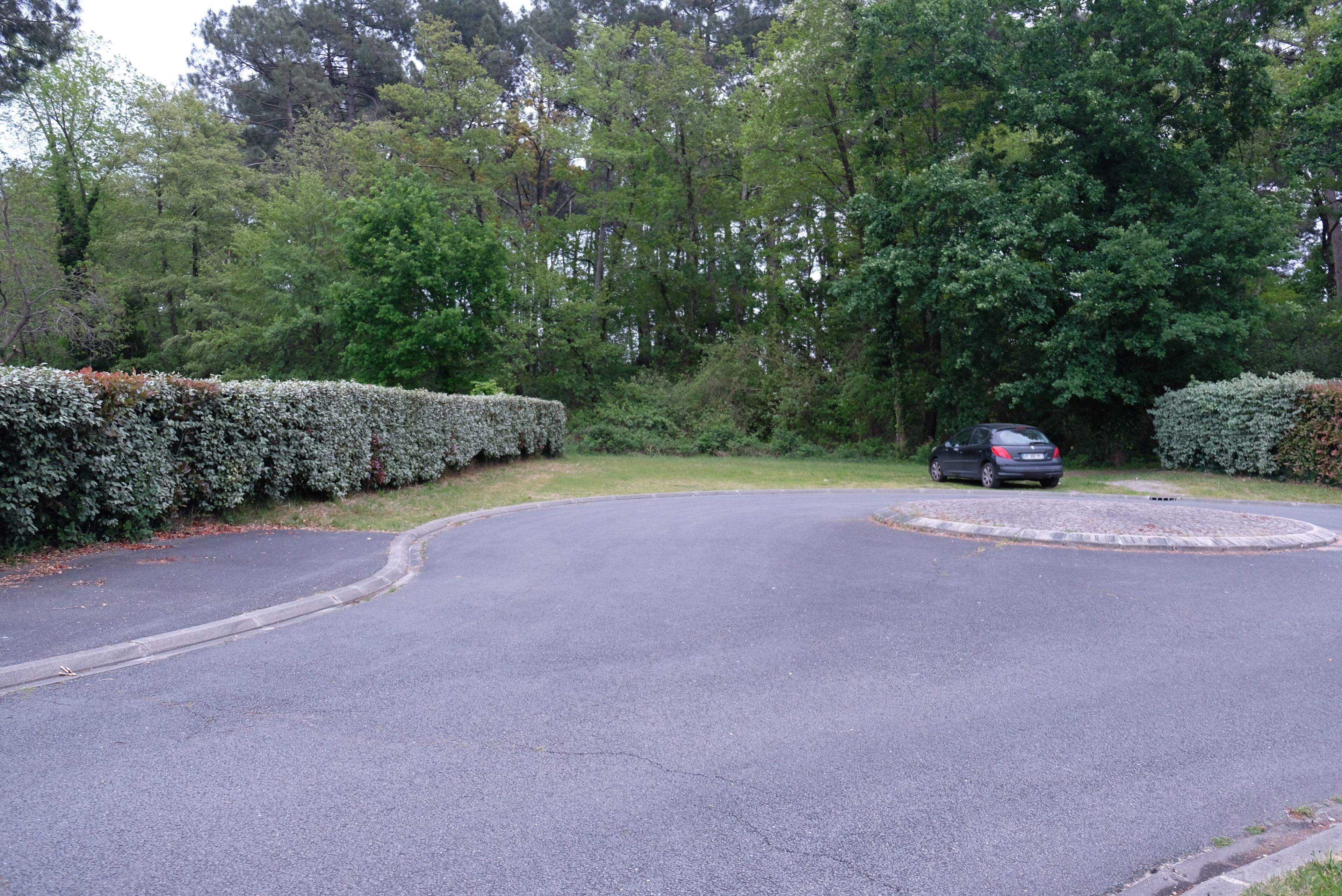 En rundkørsel med en bil parkeret til højre, omgivet af tætte grønne træer og en velplejet hæk.