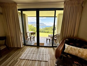 Smart TV, books, video library