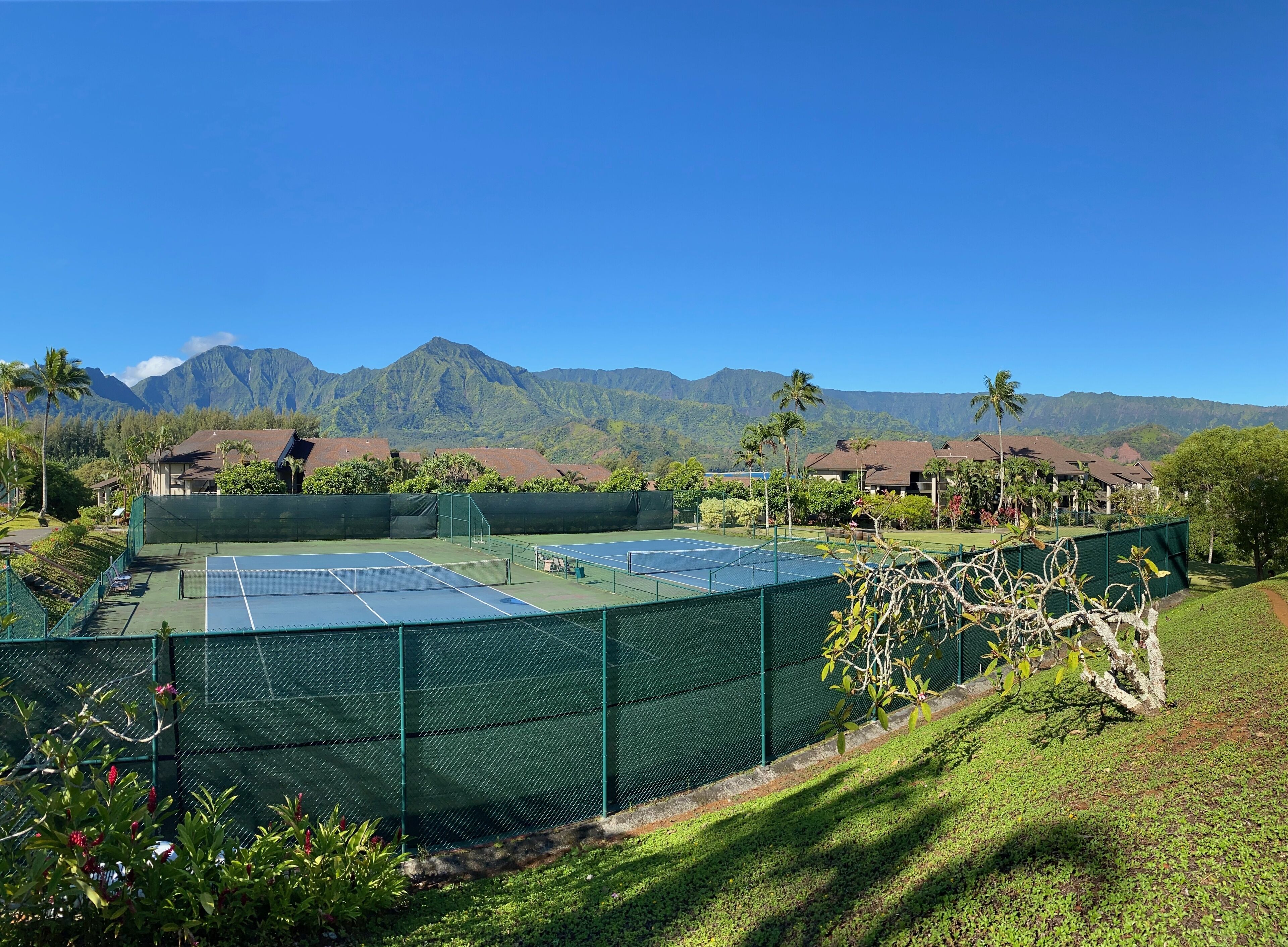 Pista de tenis rodeada de vegetación exuberante y con montañas al fondo.