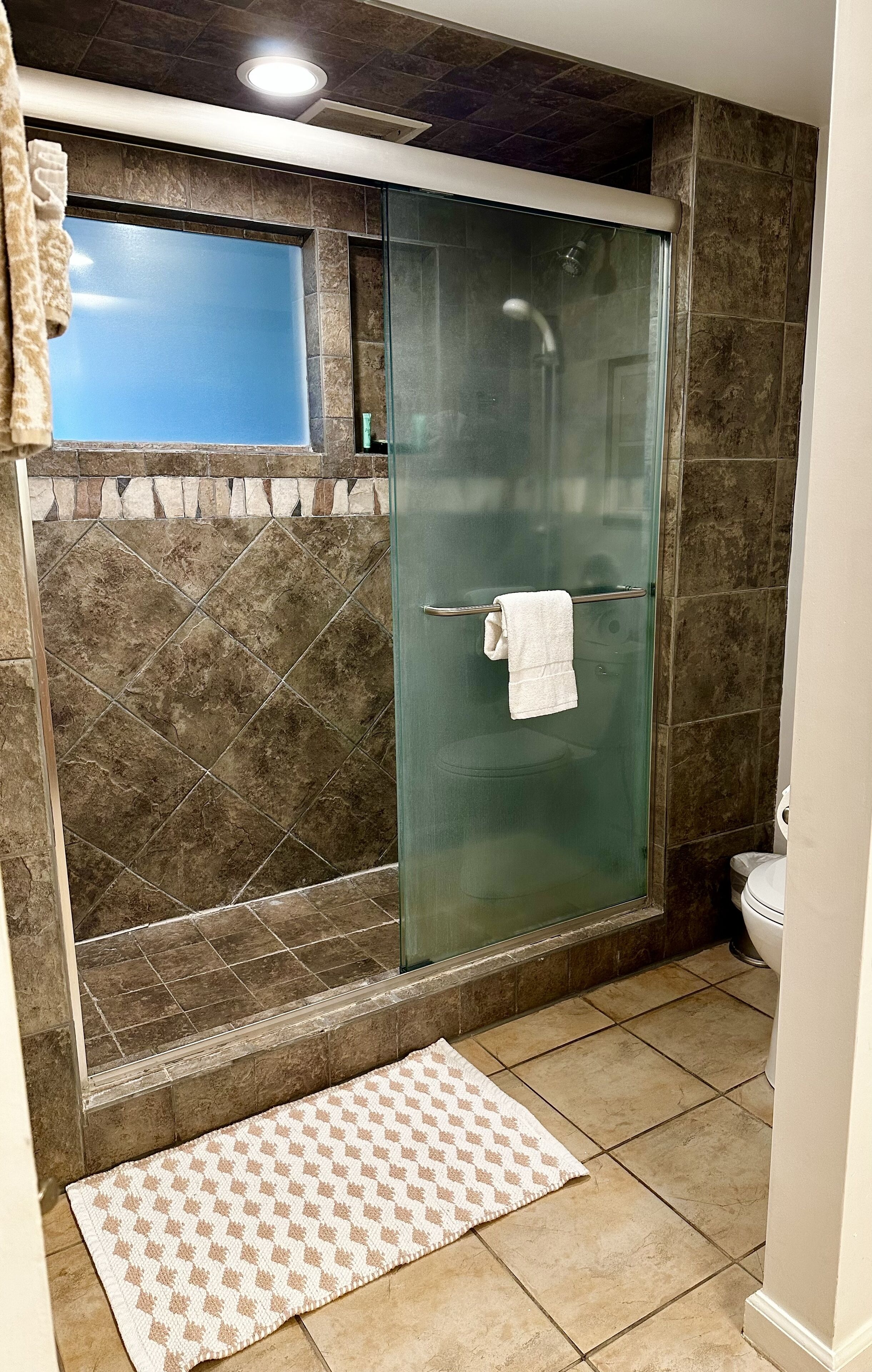 A bathroom with a glass-enclosed shower, a towel rack, a patterned rug, and a toilet.