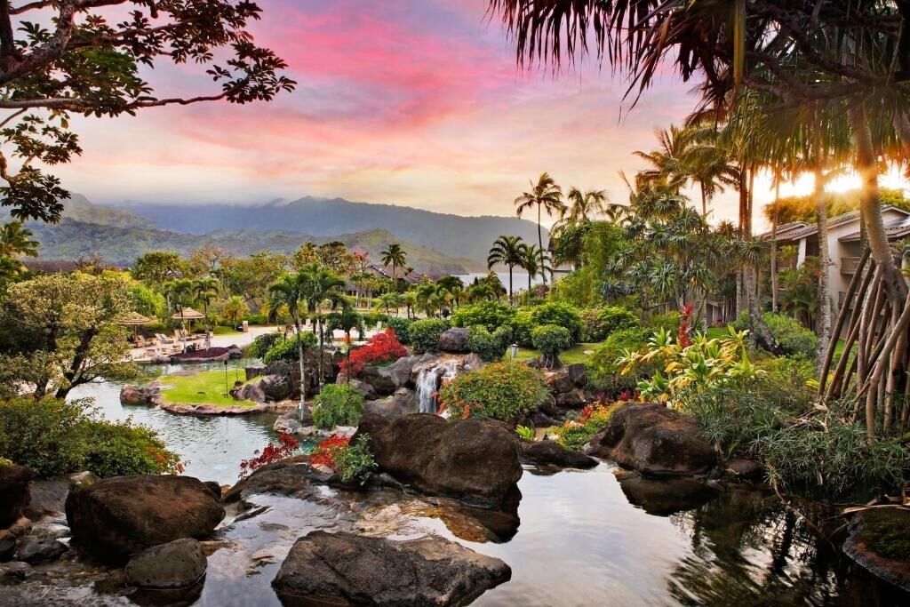 Un jardín tropical con un estanque, rocas y palmeras.