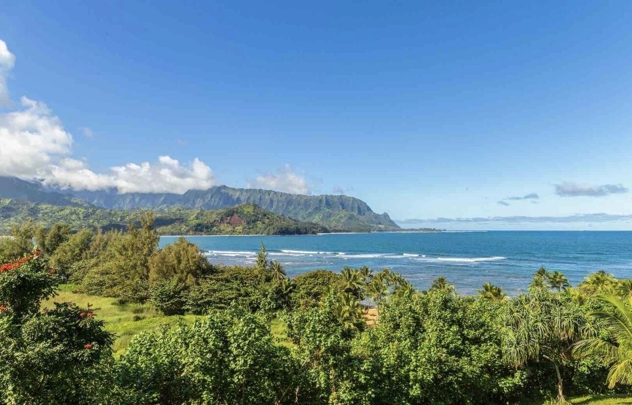 A coastal landscape with a mountain in the background, a clear sky, and lush greenery in the foreground.