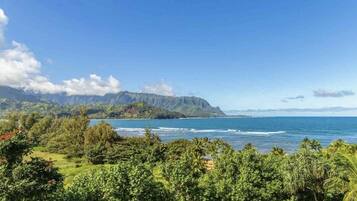 A coastal landscape with a mountain in the background, a clear sky, and lush greenery in the foreground.