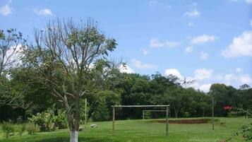 A grassy field with a wooden soccer goal and trees.