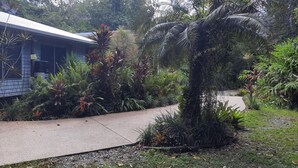 A pathway leading to a building surrounded by lush greenery and a palm tree. - Daintree Holiday Accommodation (Cow Bay)