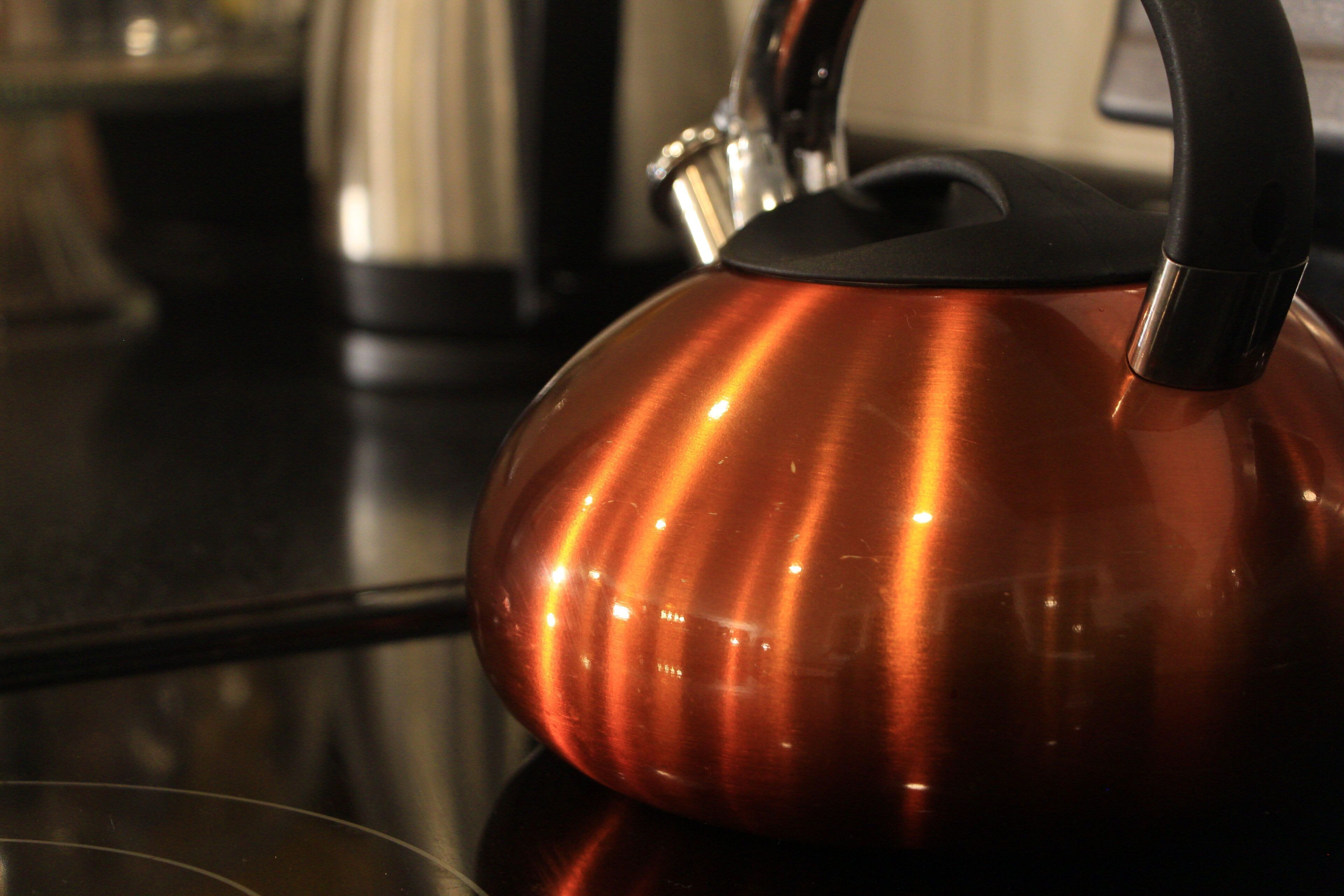 Gorgeous All Season Water Front Cabin