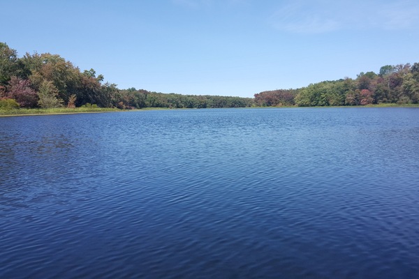 A view of the Moira river from the canoe.