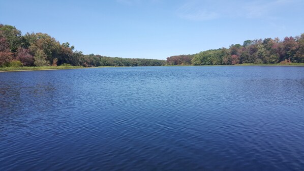 A calm lake with trees on both sides. - Gorgeous All Season Water Front Cabin (Belleville)