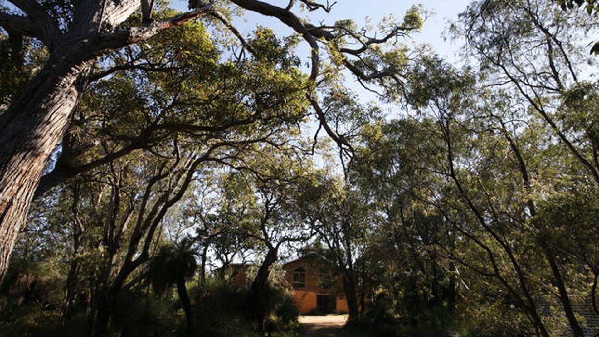 Wilderness By The Sea- Private bush retreat & SPA — image 23