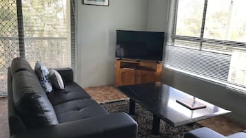 Smart TV, fireplace, DVD player, books