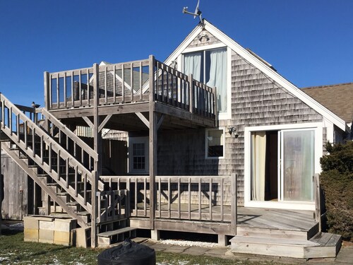 Pets allowed with warmer weather around the corner! Plan your Cape Cod vacation!