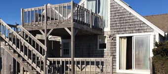 Pets allowed with warmer weather around the corner! Plan your Cape Cod vacation!