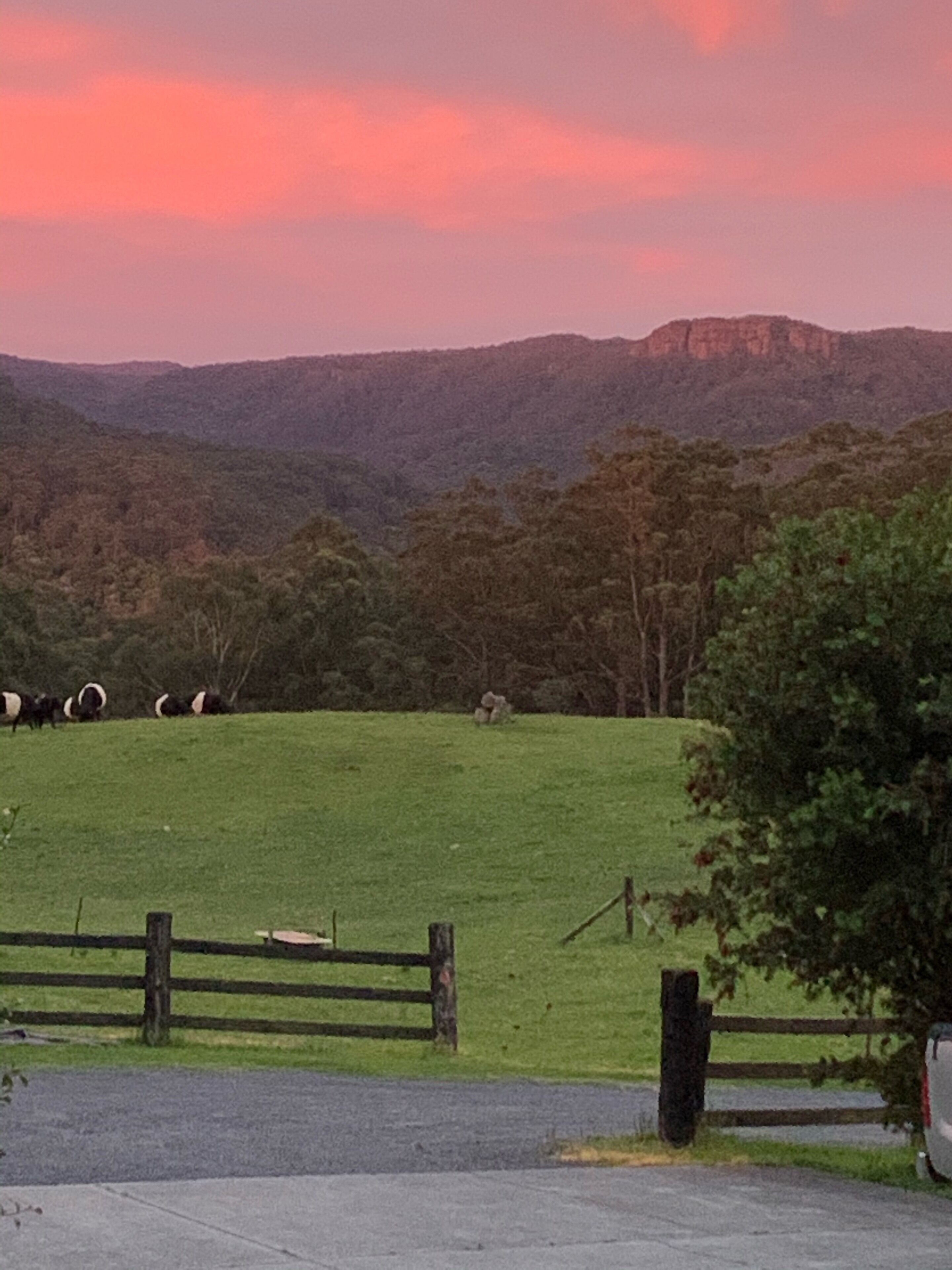 A rural landscape with a grassy field, a wooden fence, and a distant mountain range.