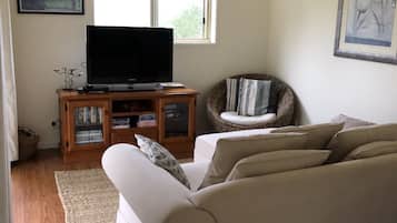 TV, DVD player, books, video library