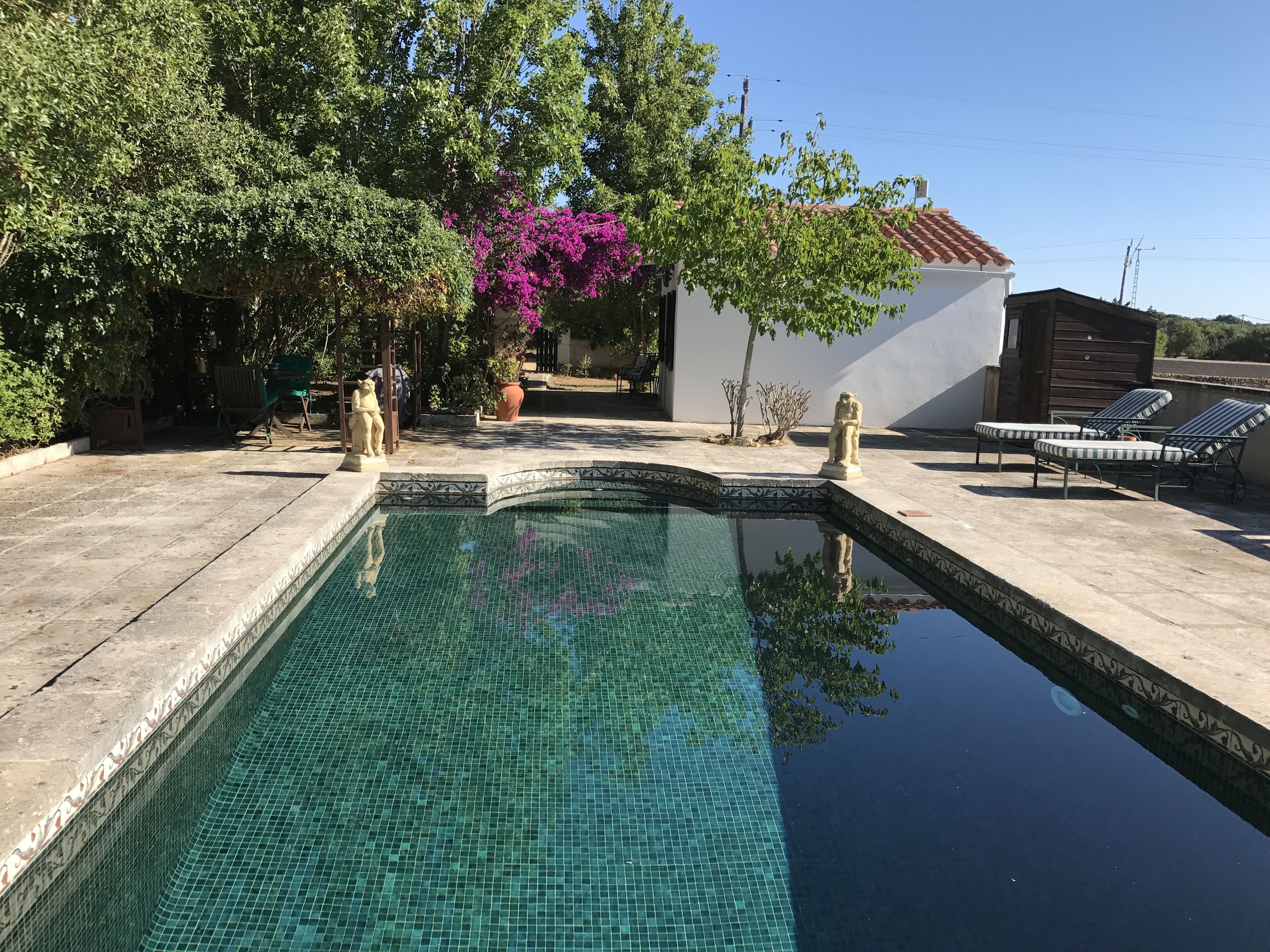 Private Swimming Pool