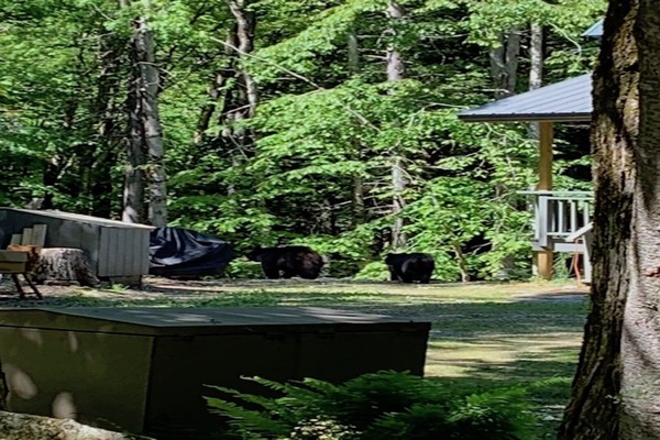 Overnattingsstedets uteområder