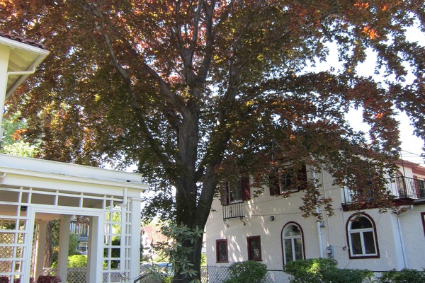 Front of home