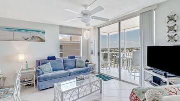 Smart TV, DVD player, books, video library