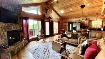 电视、壁炉、电子游戏、DVD 播放器