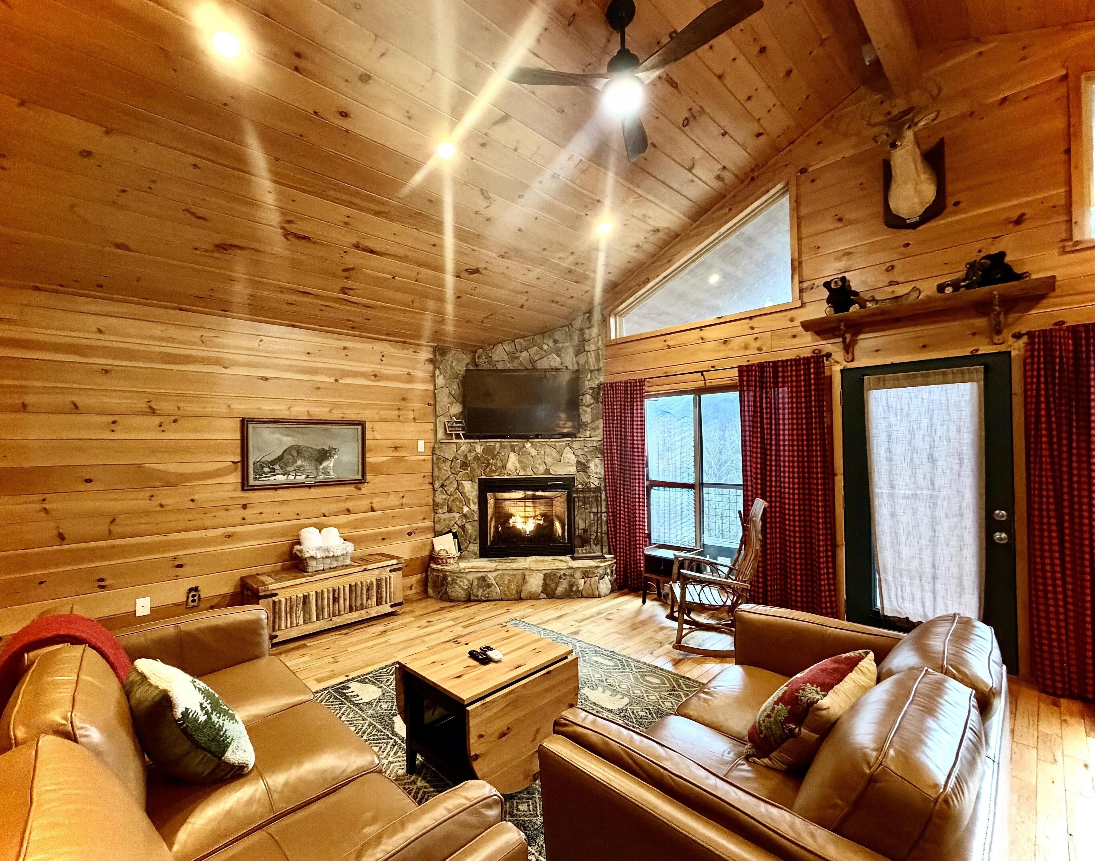 Smart-tv, pejs, videospil, dvd-afspiller