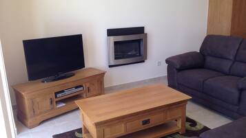 Télévision, cheminée, lecteur de DVD, chaßne hi-fi