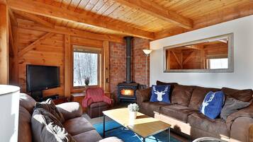 TV, fireplace, video library