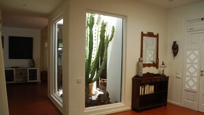 Ein Zimmer mit großem Fenster, einem Kaktus, einem Bücherregal und einer Tür.