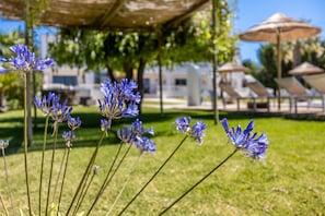 Relax in a serene outdoor setting surrounded by lush greenery and vibrant flowers.