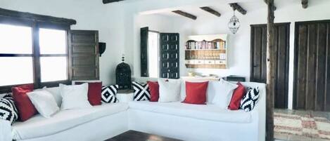 Televisión, chimenea, reproductor de DVD y libros