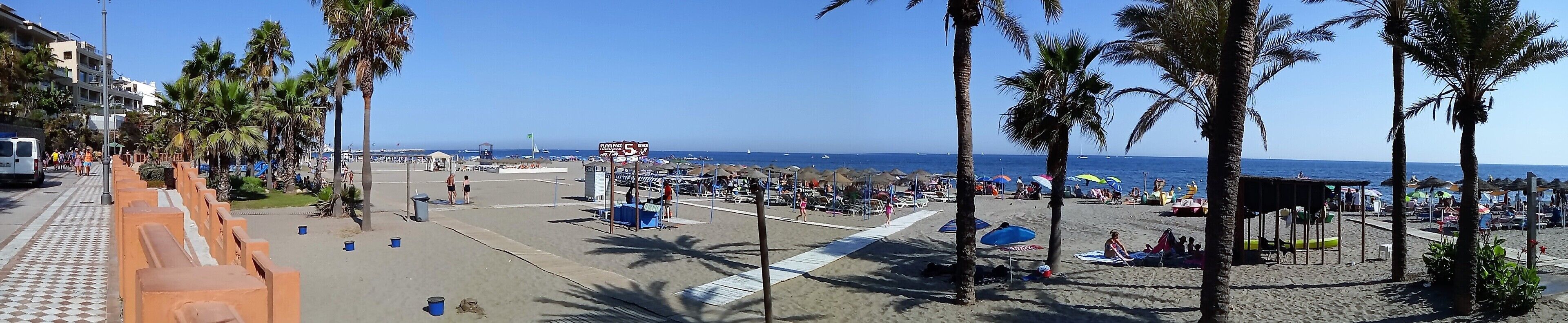 Une plage bordée de palmiers, une promenade en bord de mer et des vacanciers.