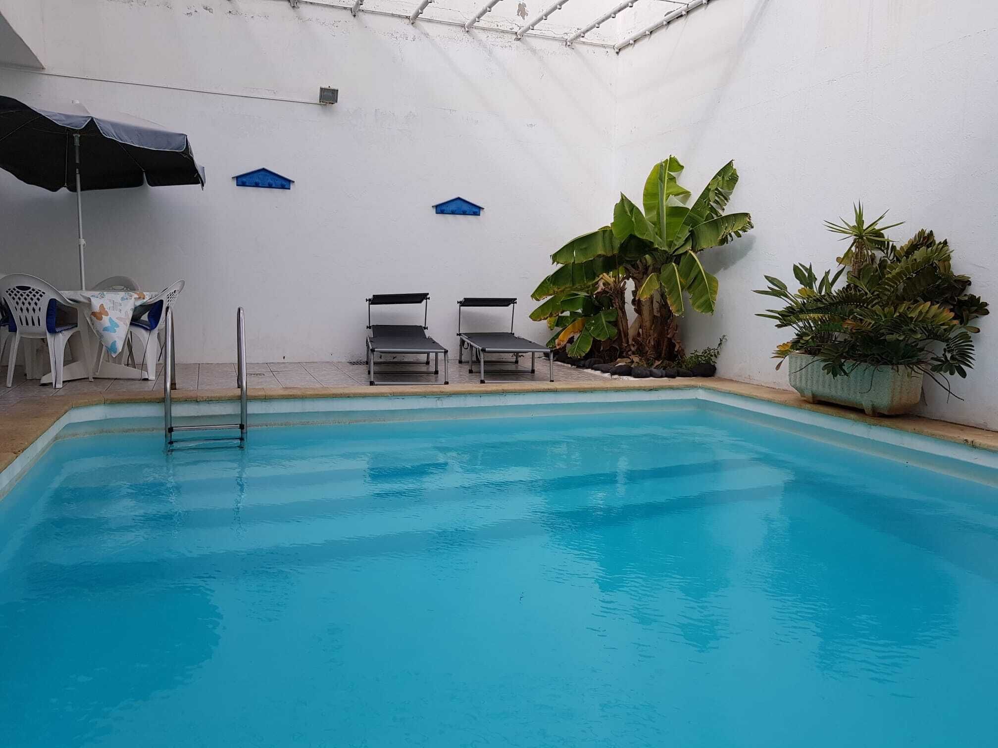 A swimming pool with lounge chairs and umbrellas, surrounded by plants and a white wall.