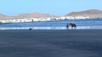 Playa en los alrededores