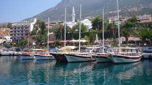 Ein Yachthafen mit mehreren angossenen Booten, eine Moschee mit Minarett und eine gebirgige Kulisse.