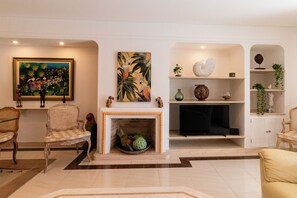 电视、DVD 播放器、书、立体声音响