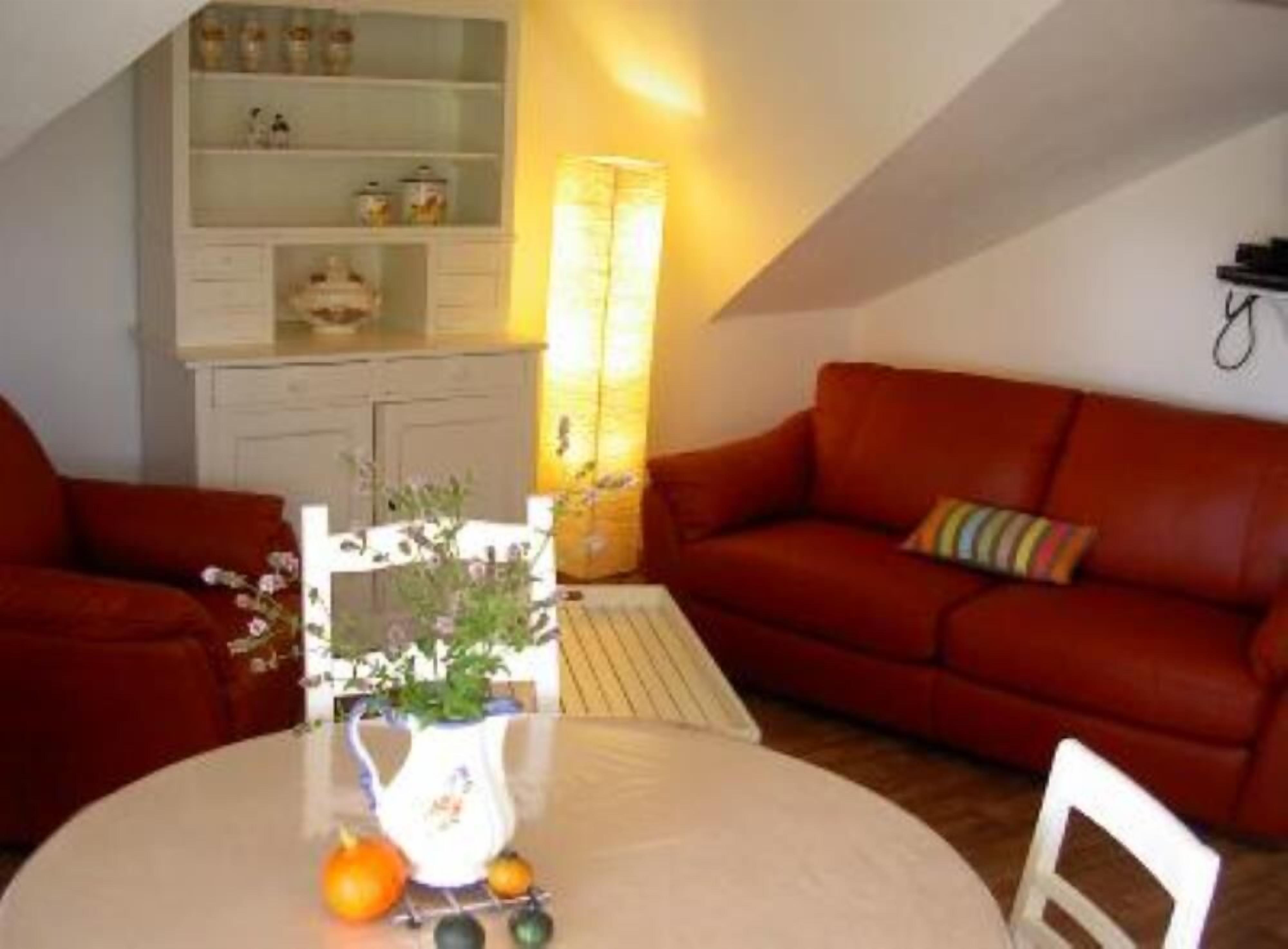 Télévision, cheminée, lecteur de DVD, livres