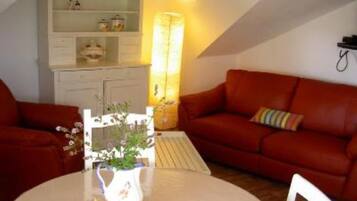 Télévision, cheminée, lecteur de DVD, livres