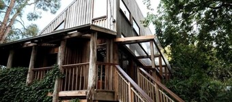 Otways Loft - Train & Tree House : Forrest