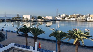 A marina with boats, palm trees, and buildings in the background.